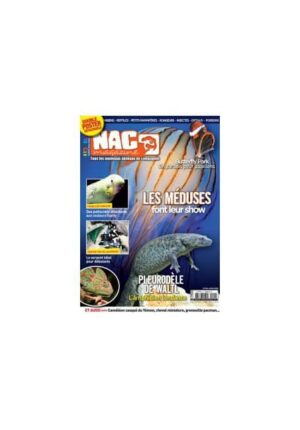 Nac magazine n°4
