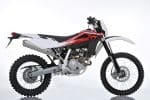 Husky2011_GIX9704