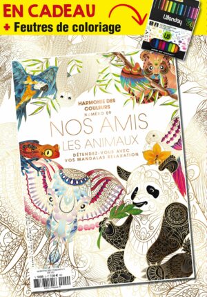 Harmonie des couleurs n°9