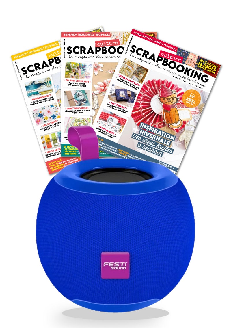 _Abo-scrap-+Enceinte-